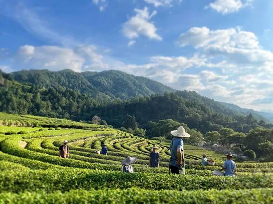 1681187170119021.jpg clip_image020.jpg