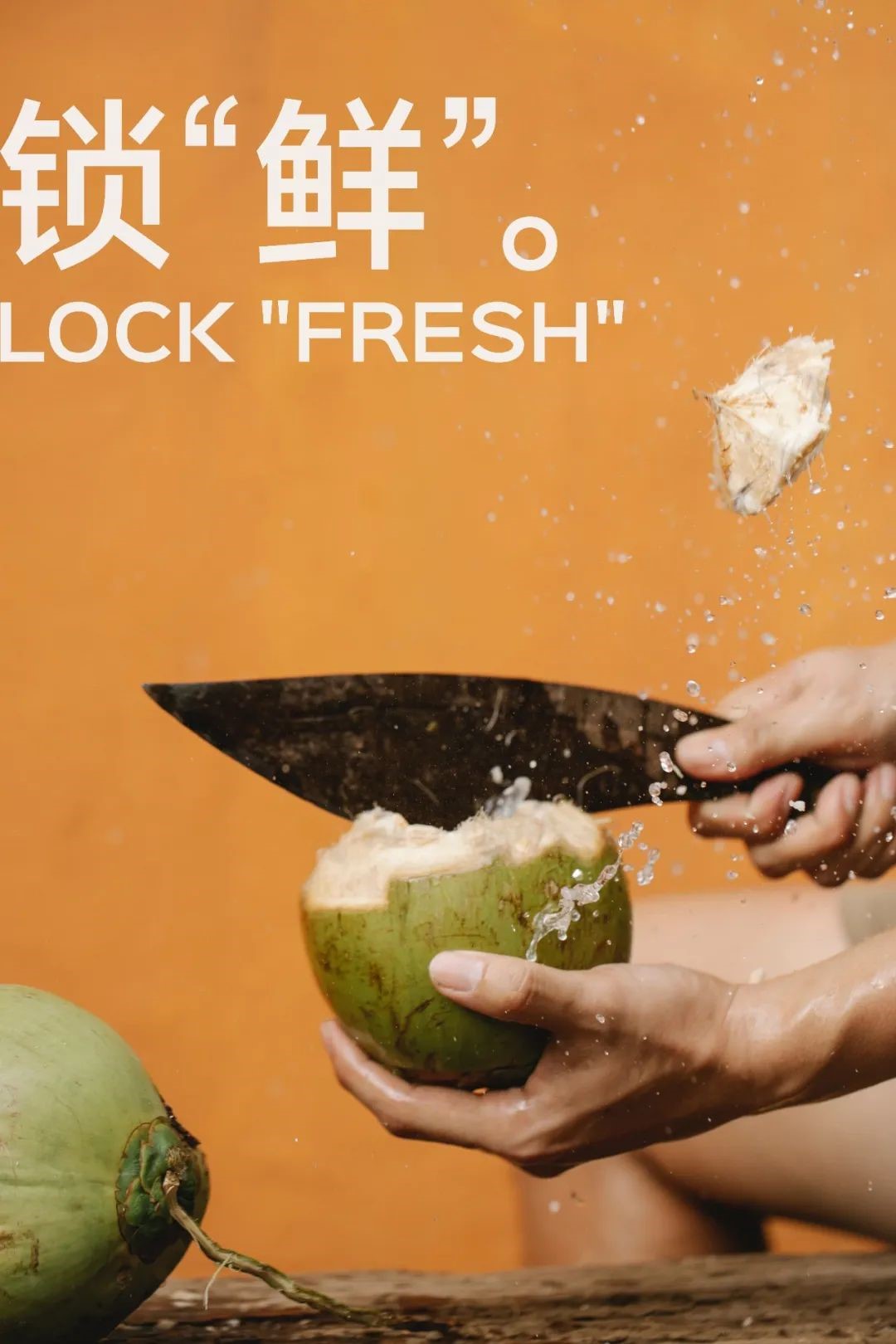 1681203318769752.jpg asdfasdf.jpg